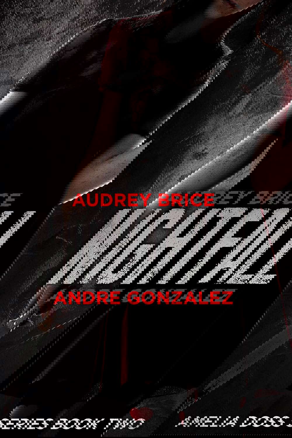 Nightfall (Amelia Doss Series, Book 2) poster