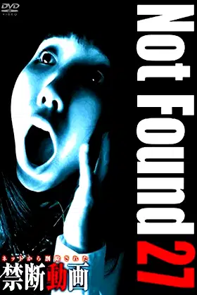 Not Found 27 poster