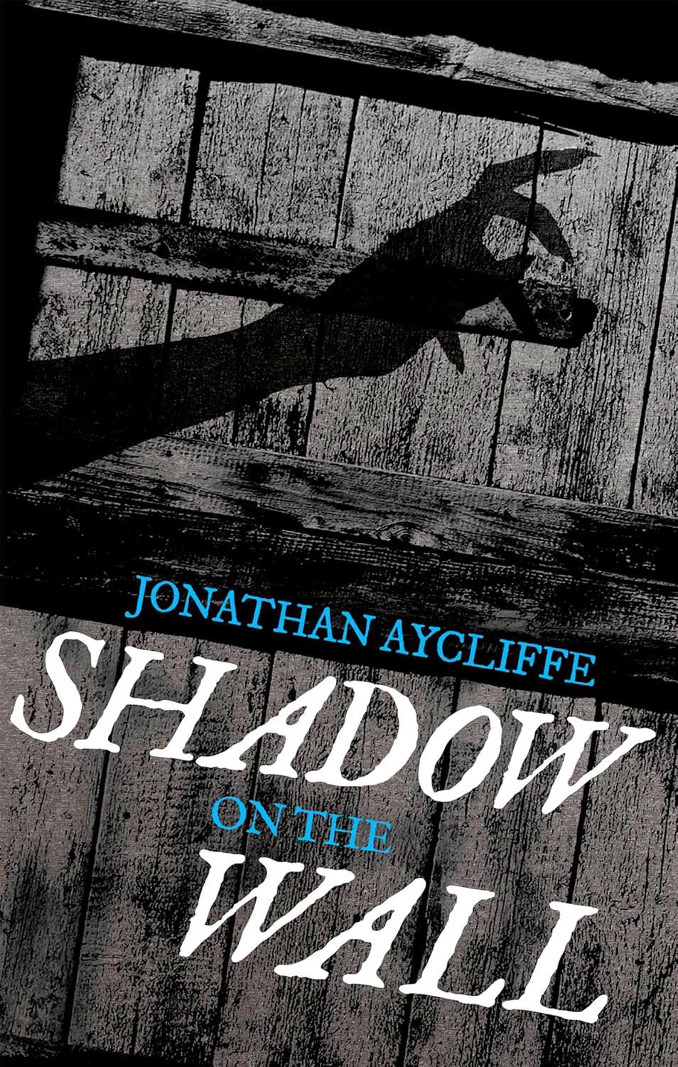 Shadow On The Wall poster