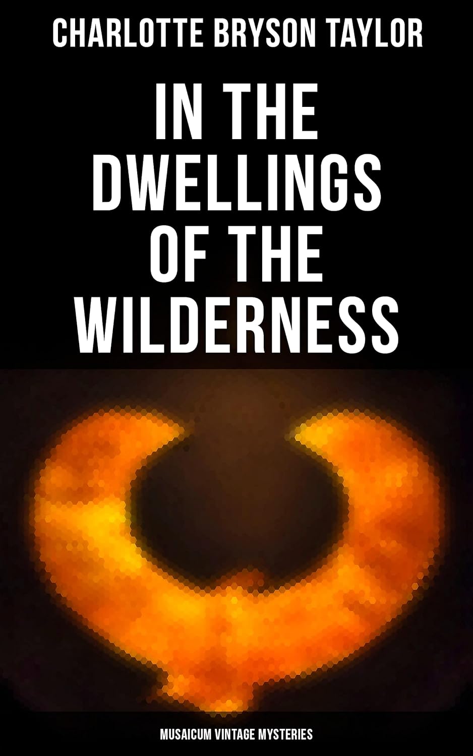 In the Dwellings of the Wilderness (Musaicum Vintage Mysteries) poster