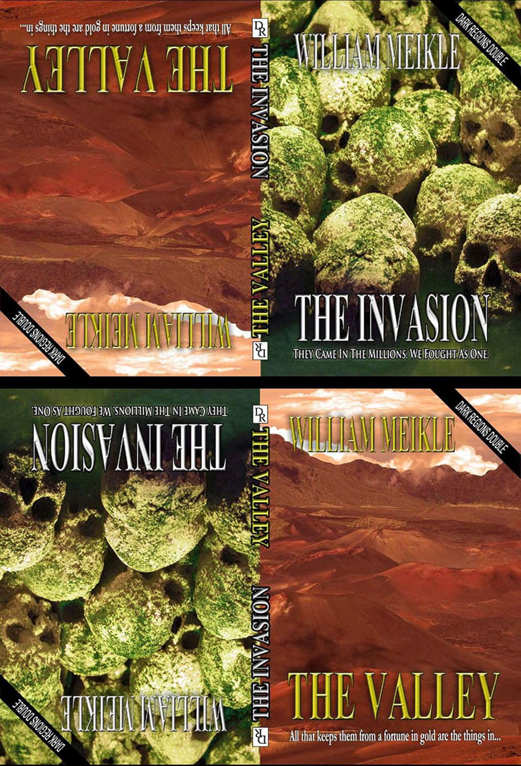 The Invasion/The Valley by William Meikle Dark Regions Double poster