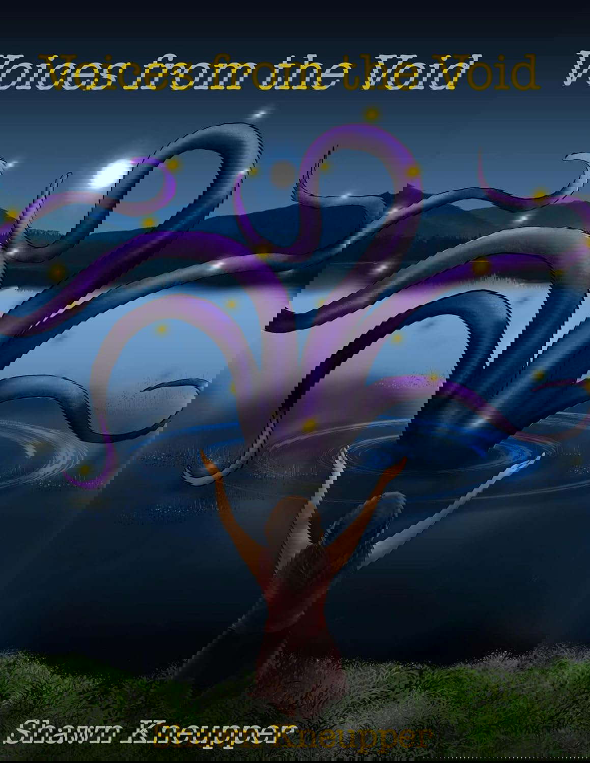 Voices from the Void poster