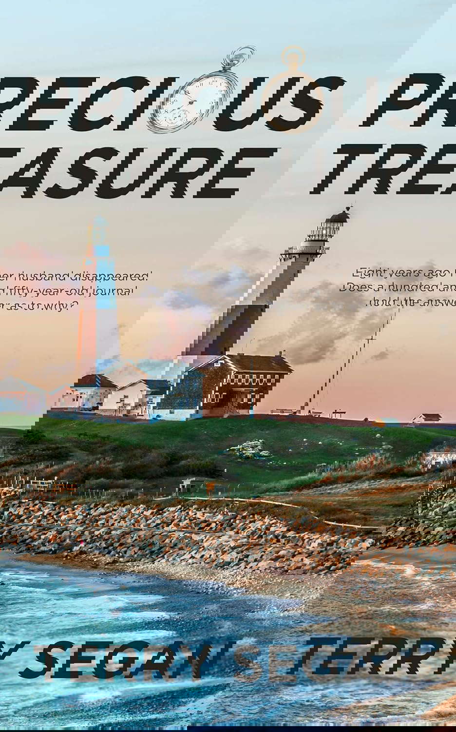 Precious Treasure poster