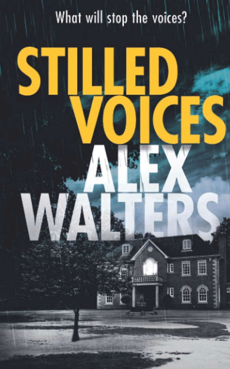 Stilled Voices (DCI Murrain) poster