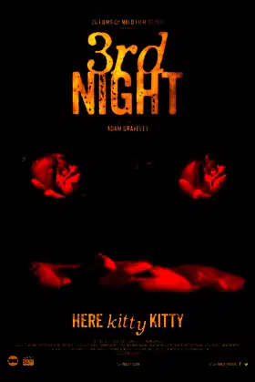 3rd Night poster