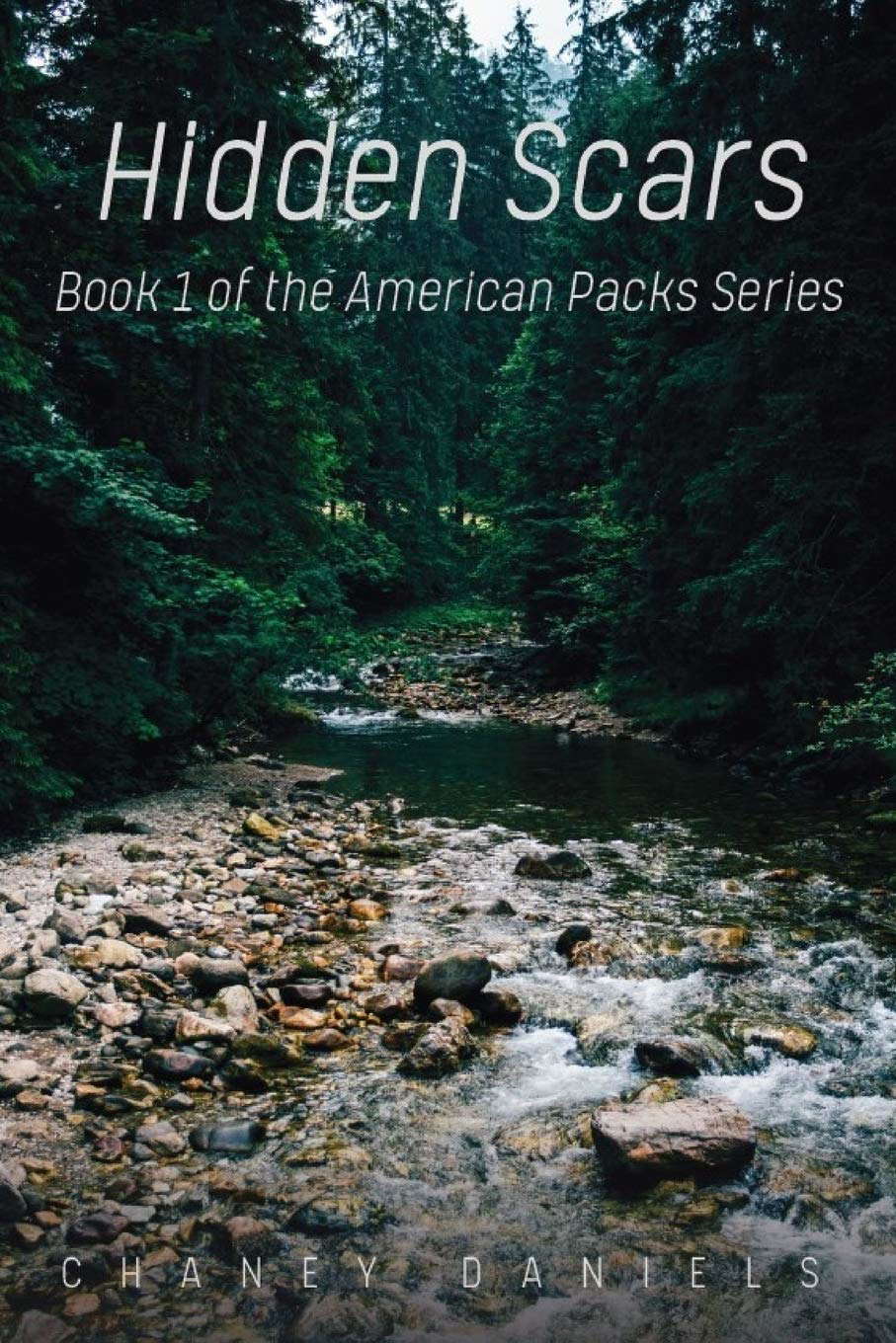 Hidden Scars (American Packs) poster