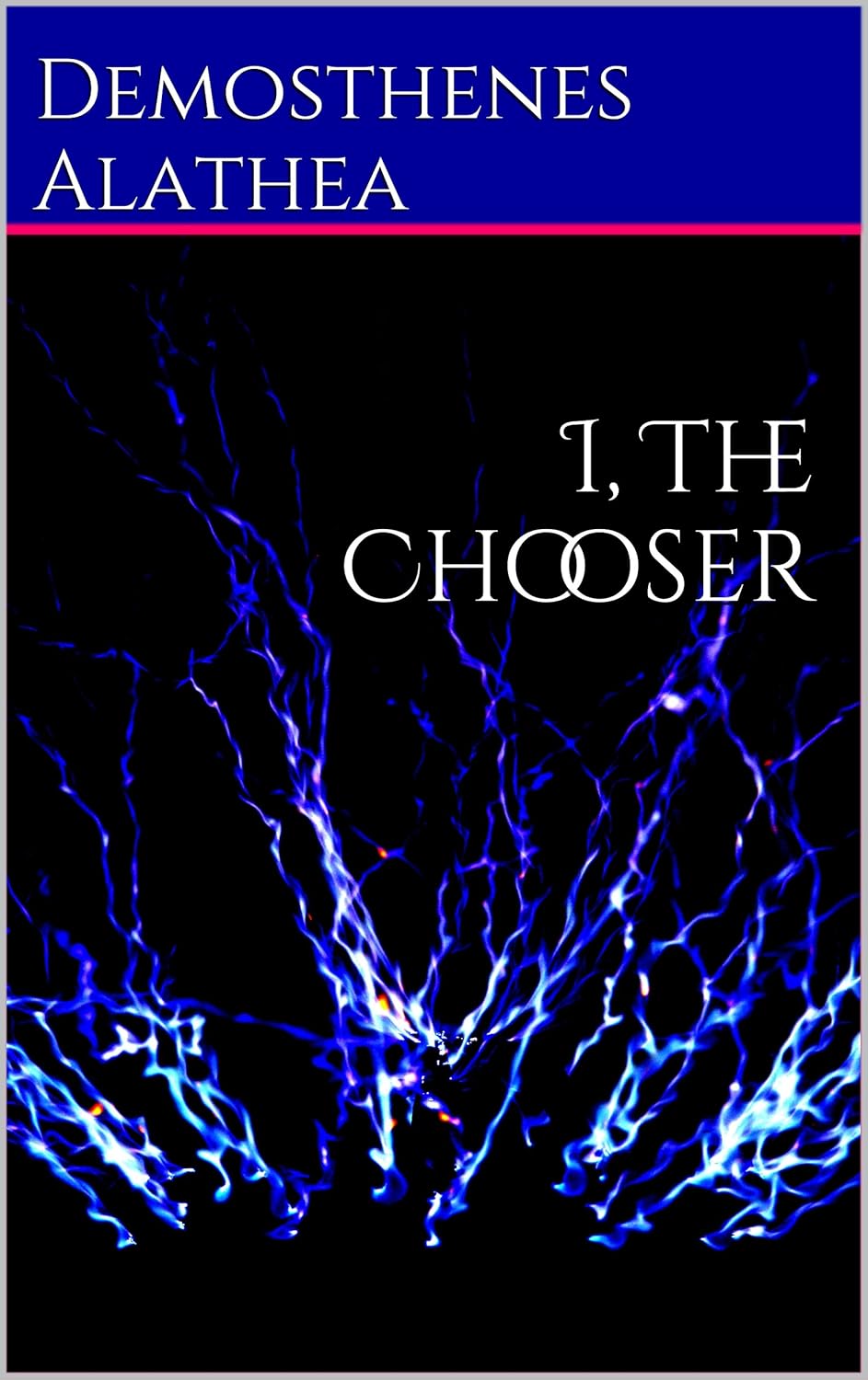 I, The Chooser poster