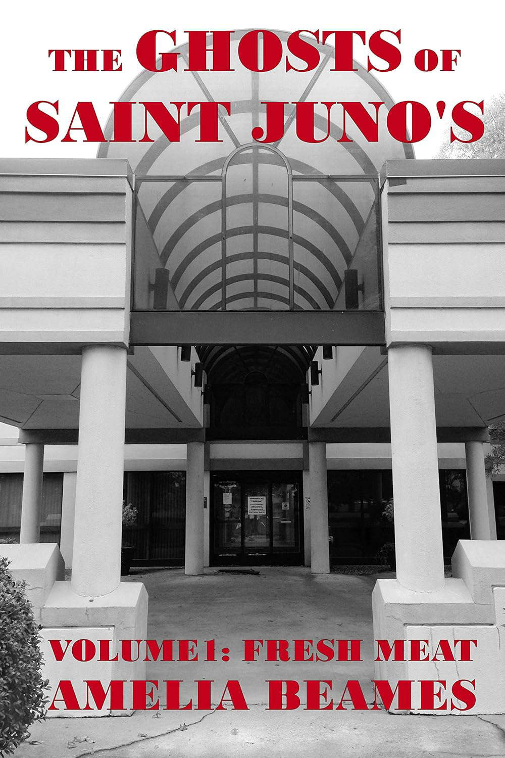 Fresh Meat (The Ghosts of Saint Juno's Book 1) poster