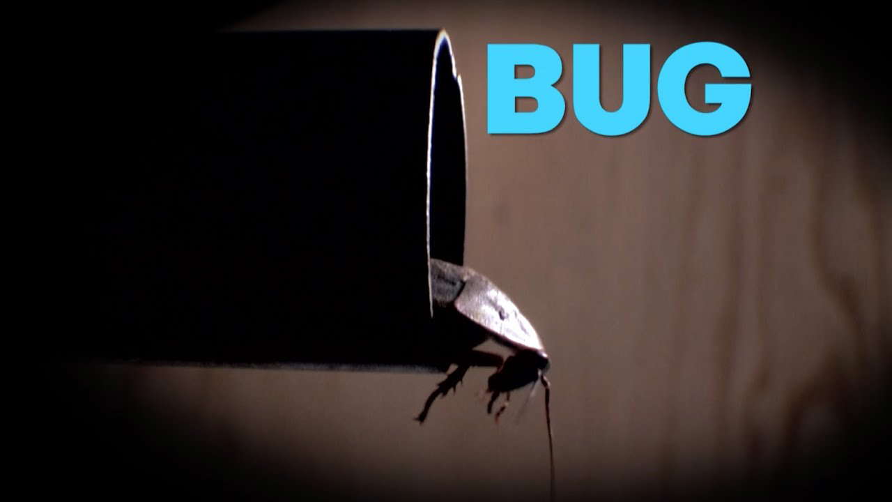 Poster for Bug