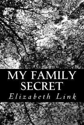 My Family Secret poster