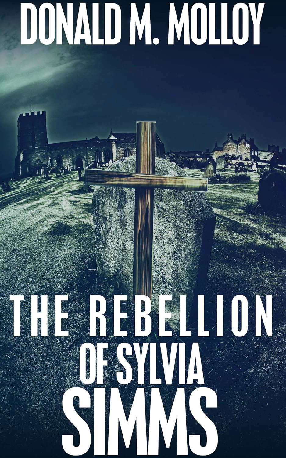 The Rebellion of Sylvia Simms poster
