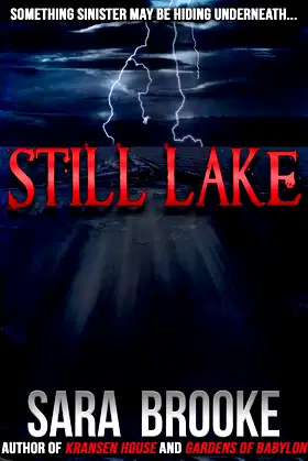 Still Lake poster