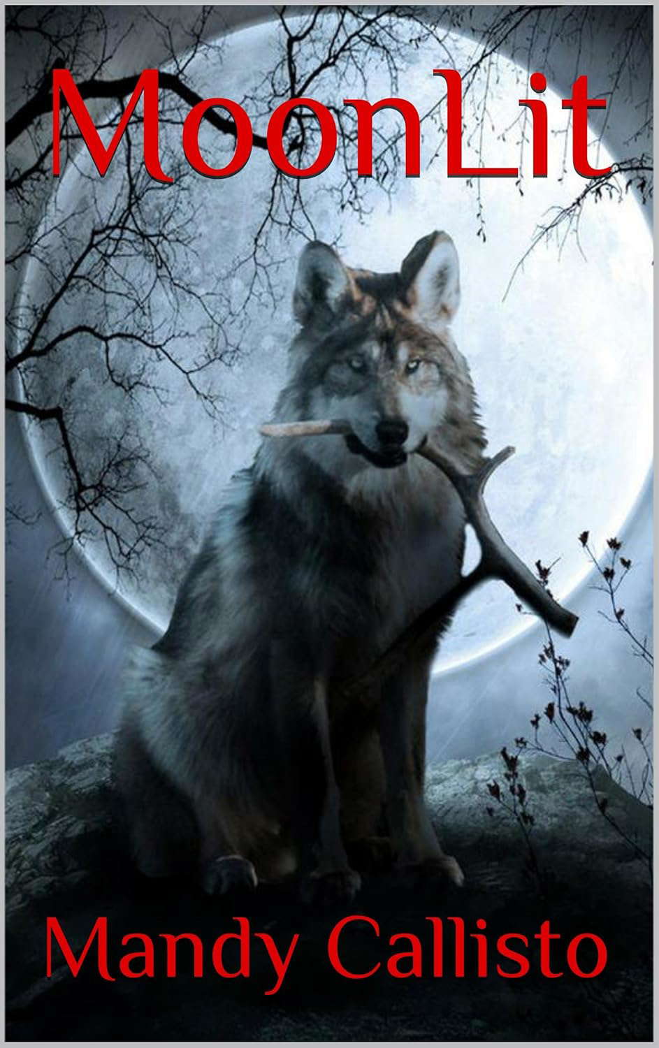 MoonLit poster