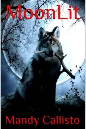 MoonLit poster