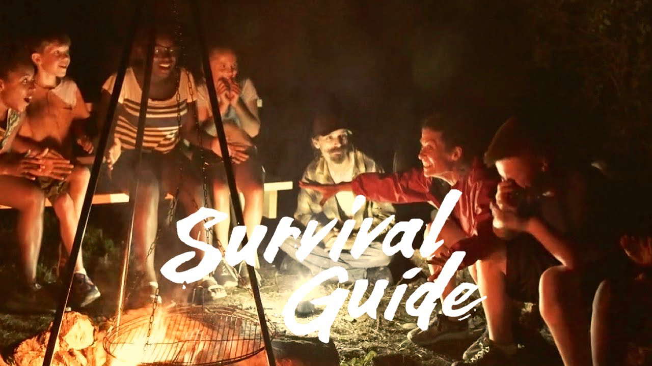 Poster for Survival Guide