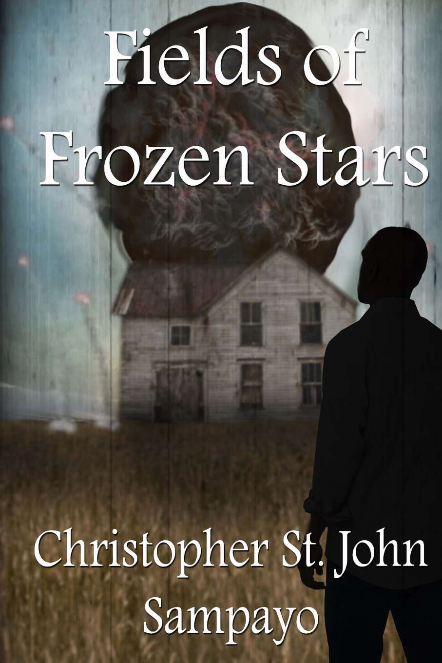Fields of Frozen Stars poster