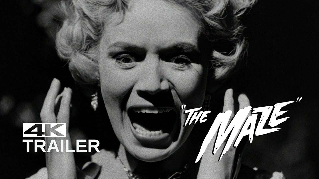 Poster for The Maze