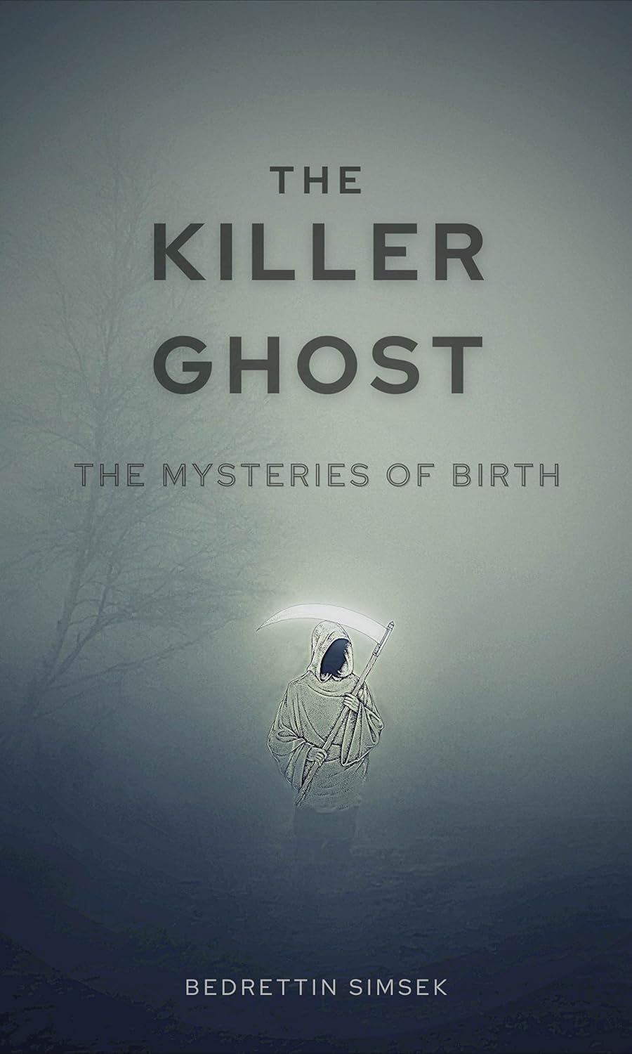 The Killer Ghost: The Mysteries of Birth poster