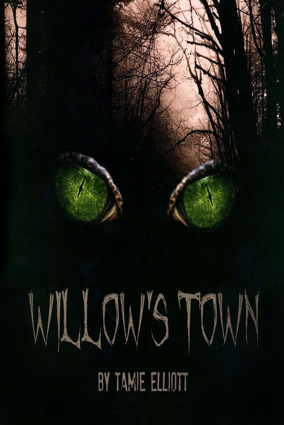 Willow's Town poster