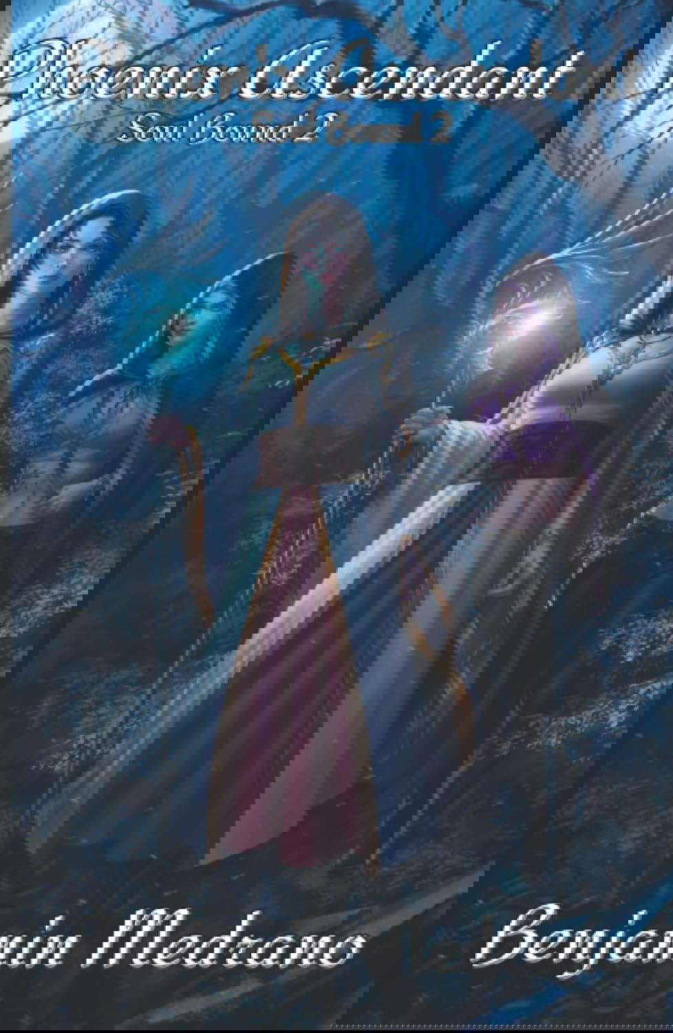 Phoenix Ascendant poster