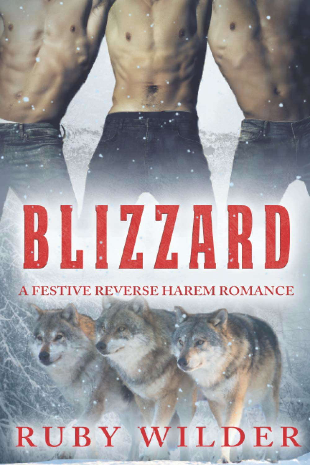 Blizzard: A Festive Reverse Harem Romance poster