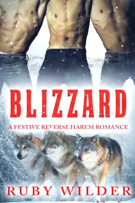 Blizzard: A Festive Reverse Harem Romance poster