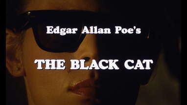 The Black Cat (1989) Trailer poster