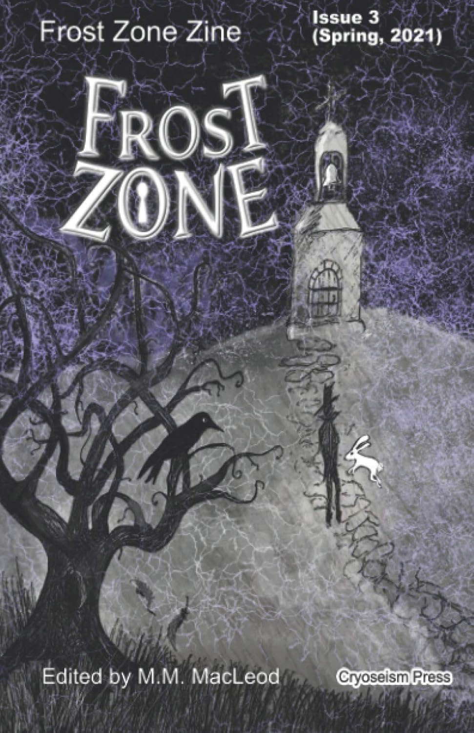 Frost Zone Zine 3 poster