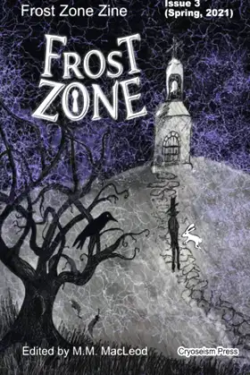Frost Zone Zine 3 poster
