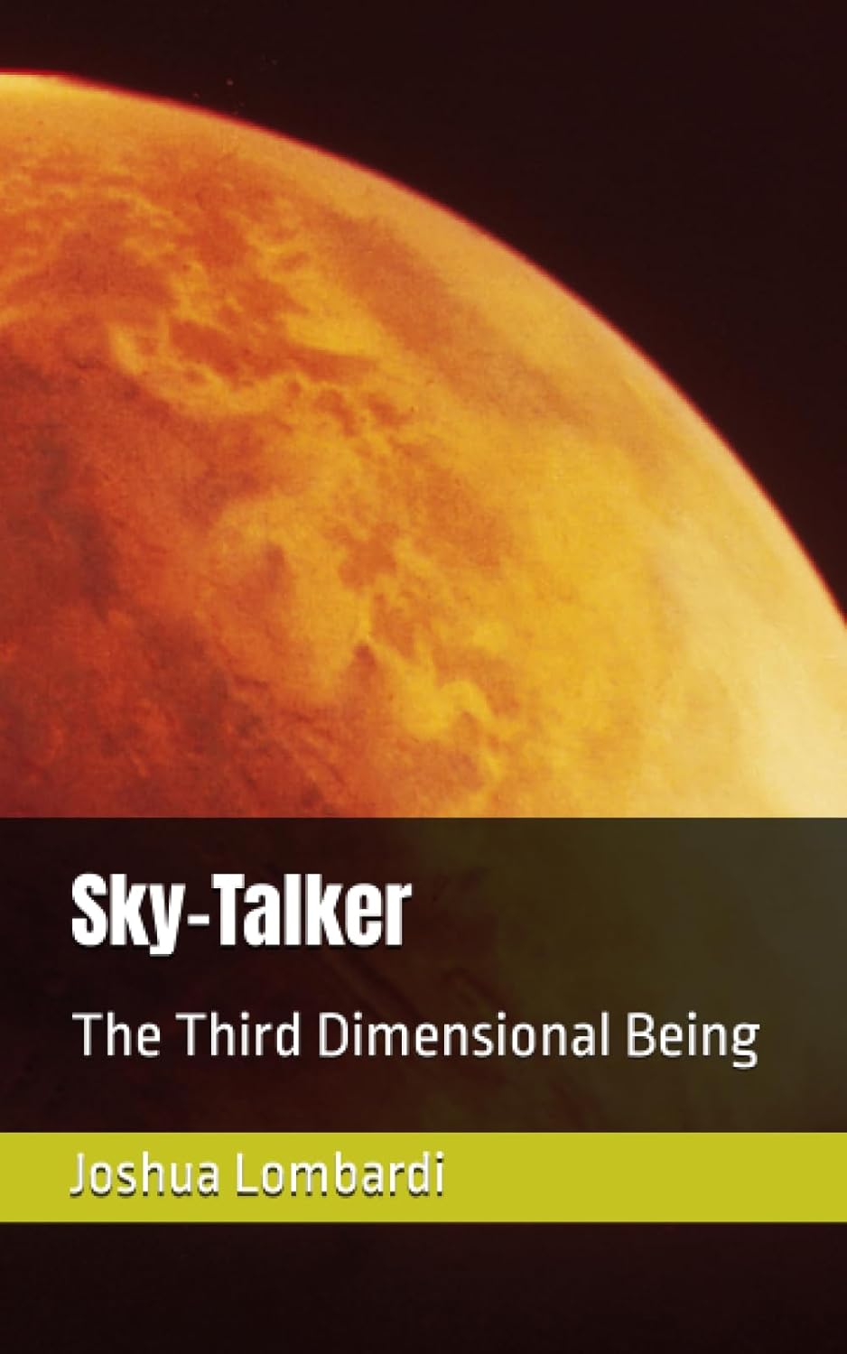 Sky-Talker: The Third Dimensional Being poster