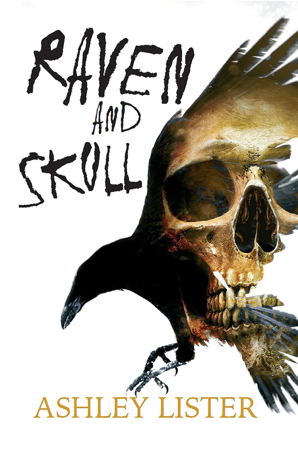 Raven and Skull poster