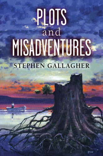 Plots and Misadventures poster