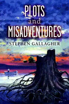 Plots and Misadventures poster