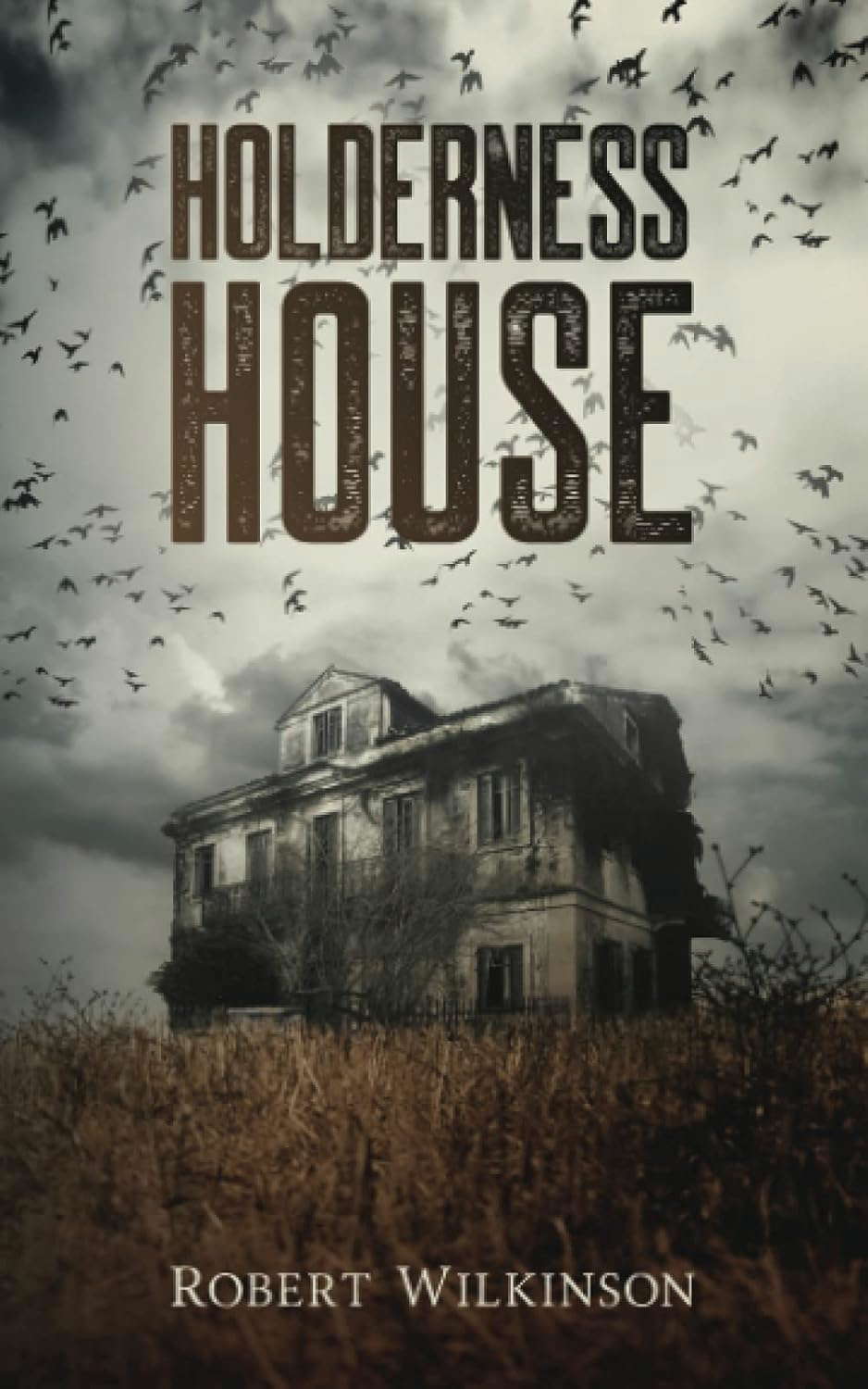 Holderness House poster