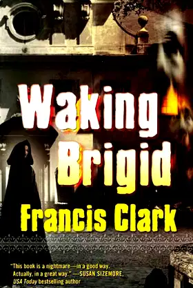 Waking Brigid poster