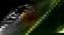 episode poster