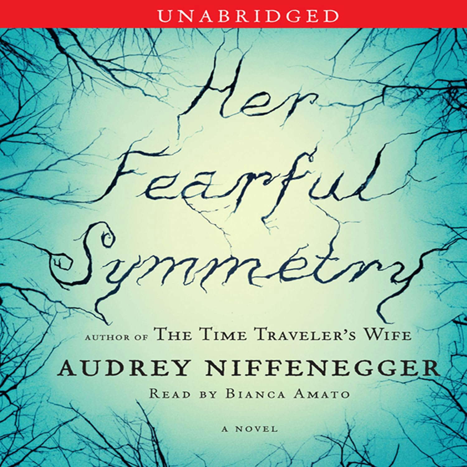 Her Fearful Symmetry poster