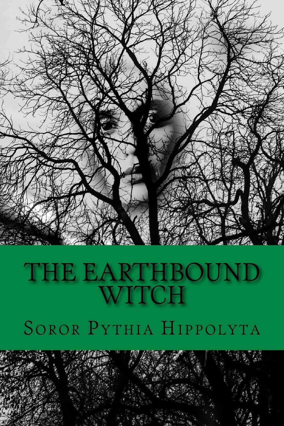 The Earthbound Witch (Adventures of Modern Day Sorcerers) poster