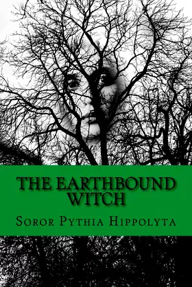 The Earthbound Witch (Adventures of Modern Day Sorcerers) poster