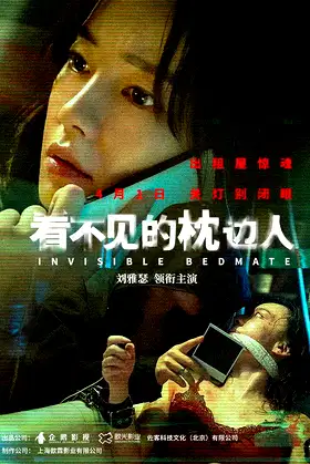 Invisible Bedmate poster