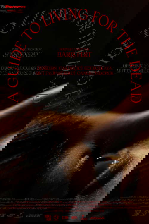 A Guide to Living for The Dead poster