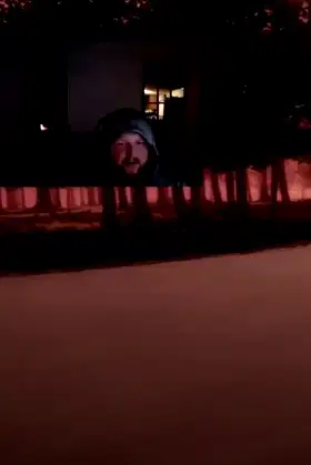 The Stalked poster