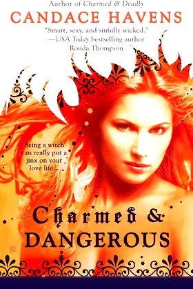 Charmed & Dangerous poster