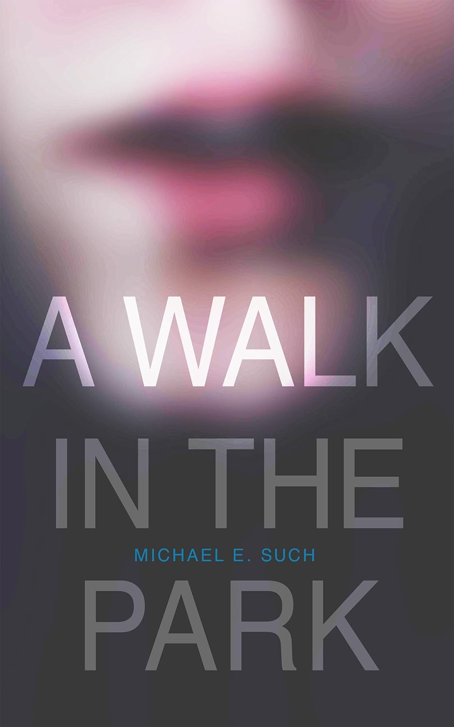A Walk In The Park poster