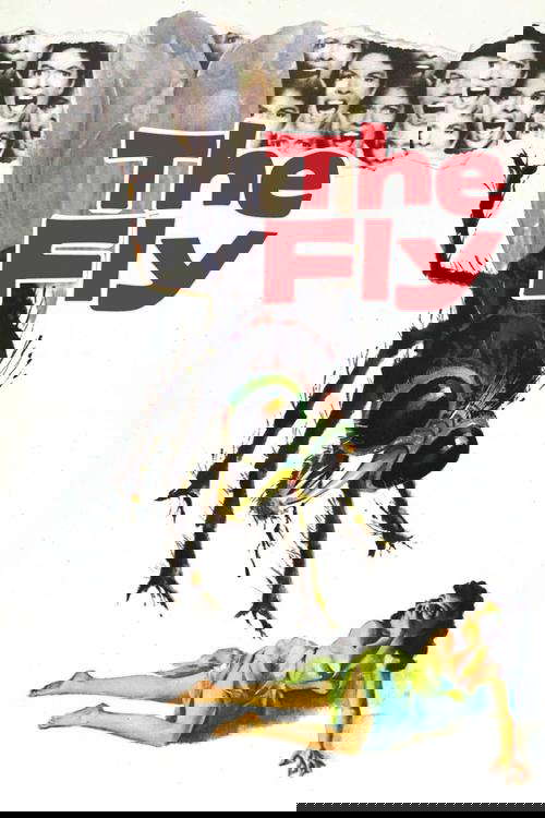 The Fly poster