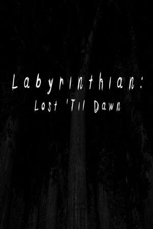 Labyrinthian: Lost 'Til Dawn poster