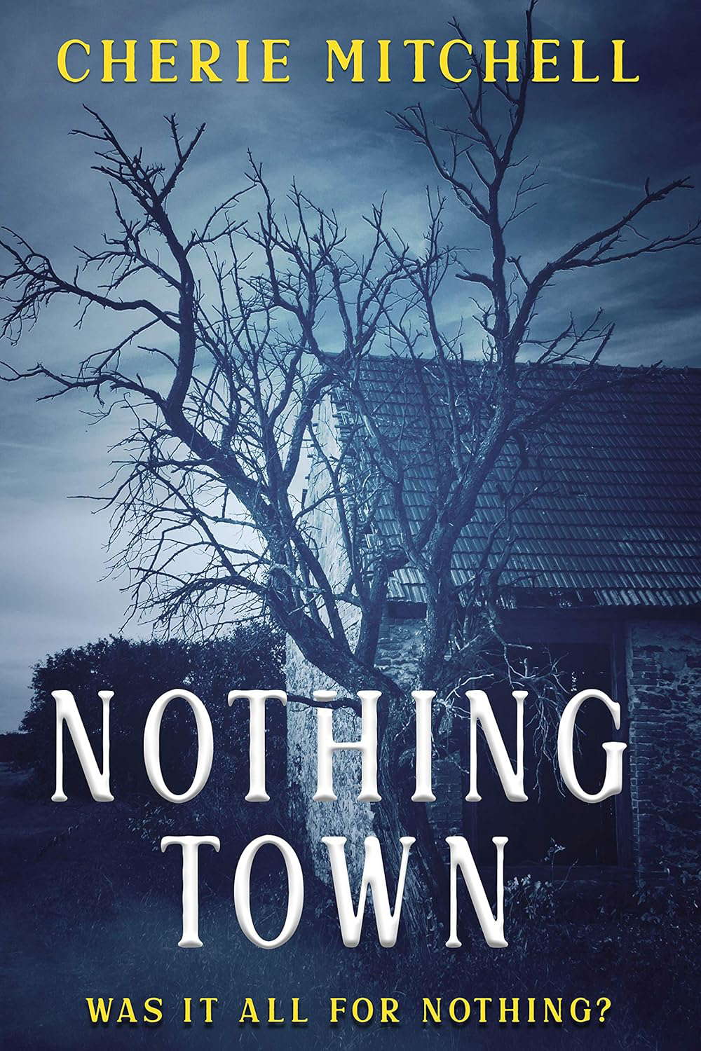 Nothing Town: The Nothing Room Book 3 poster