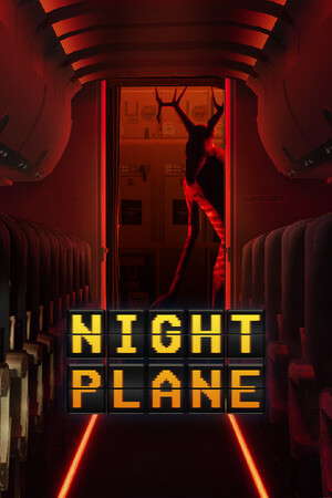 Night Plane poster