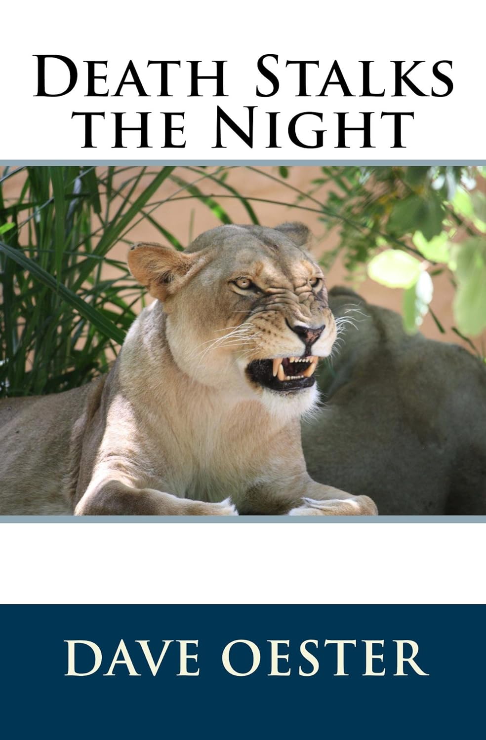 Death Stalks the Night poster