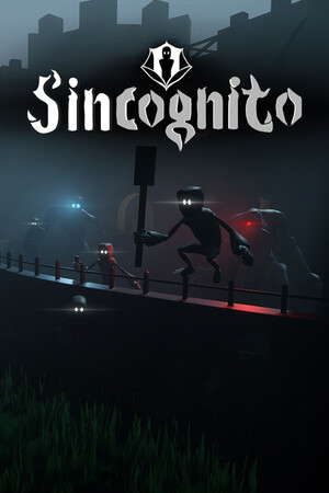 Sincognito poster
